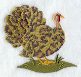 Wild Turkey - Leopard