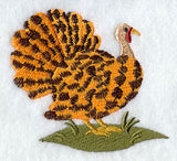 Wild Turkey - Cheetah