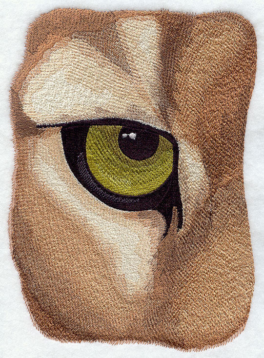 Eye of the Cougar