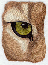 Eye of the Cougar