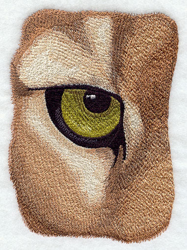 Eye of the Cougar