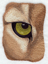 Eye of the Cougar