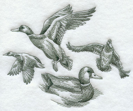 Mallard Sketch