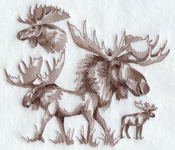 Moose Sketch