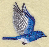Flying Mountain Bluebird