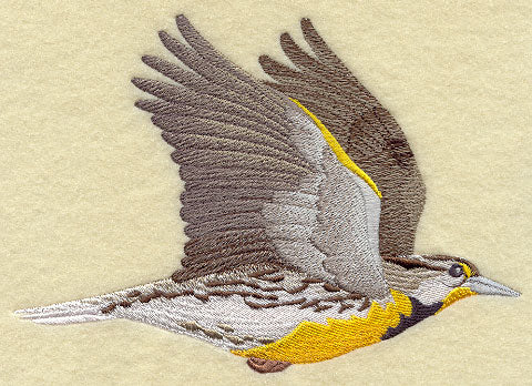 Flying Meadowlark