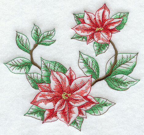 Silent Night Poinsettia Circle