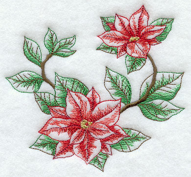 Silent Night Poinsettia Circle