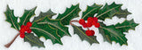 Burst of Holly Border