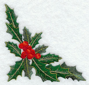 Burst of Holly Corner