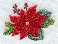Poinsettia and Holly