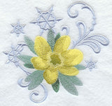 Winter Aconite and Snowflake Echo