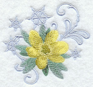 Winter Aconite and Snowflake Echo