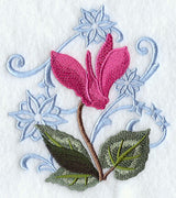 Cyclamen and Snowflake Echo