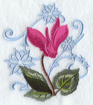 Cyclamen and Snowflake Echo