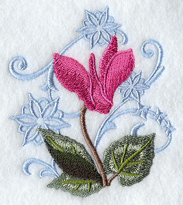 Cyclamen and Snowflake Echo