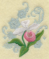 Lady's Slipper and Snowflake Echo