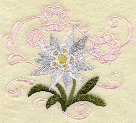 Edelweiss and Snowflake Echo