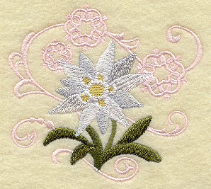 Edelweiss and Snowflake Echo