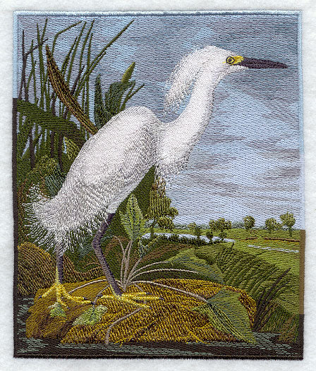 Snowy Heron