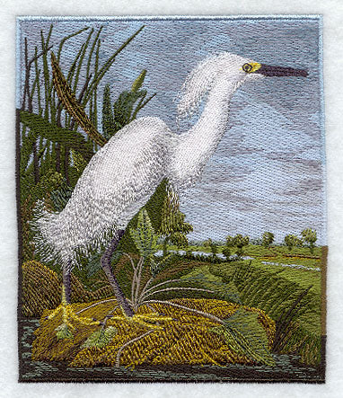 Snowy Heron