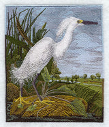 Snowy Heron