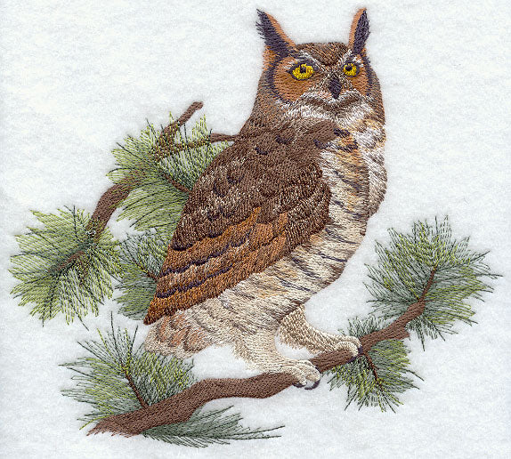 Great Horned Owl in Pine