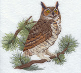 Great Horned Owl in Pine