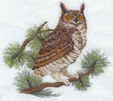 Great Horned Owl in Pine