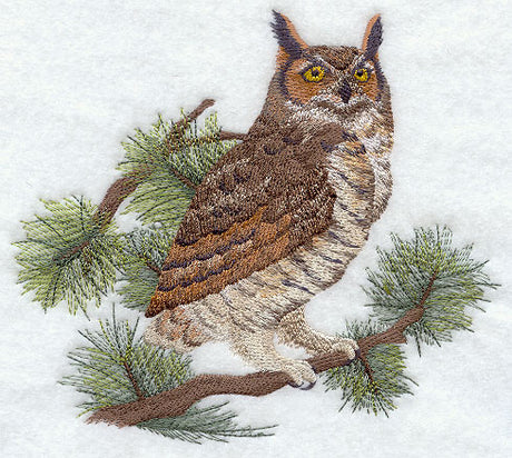 Great Horned Owl in Pine