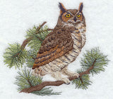 Great Horned Owl in Pine