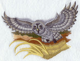 Great Grey Owl in Flight