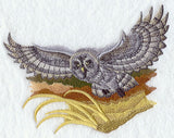 Great Grey Owl in Flight