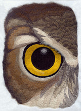 Eye of the Owl