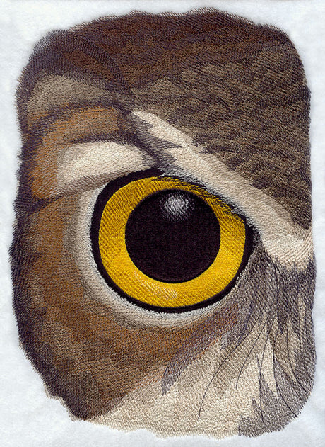 Eye of the Owl
