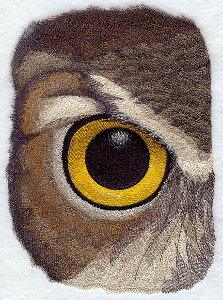 Eye of the Owl