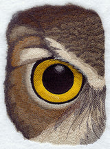 Eye of the Owl