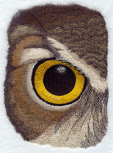 Eye of the Owl