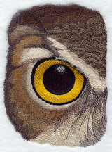 Eye of the Owl