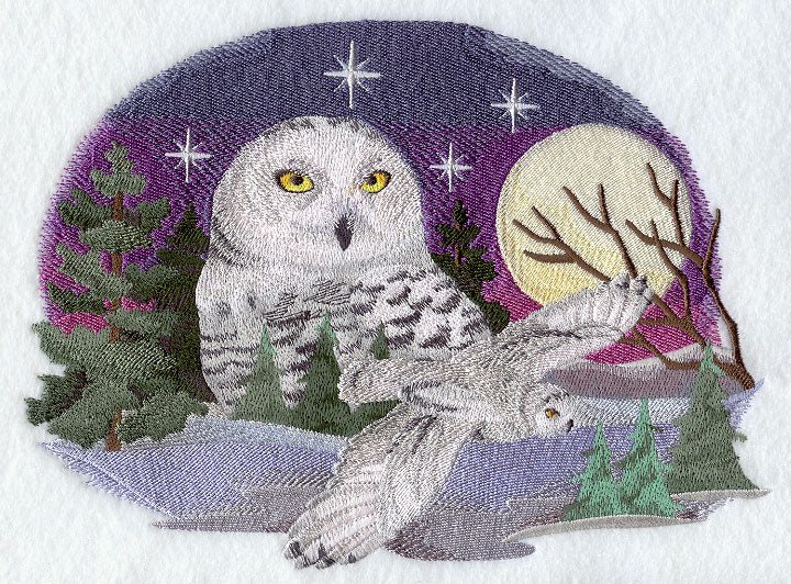 Snowy Owl Scene