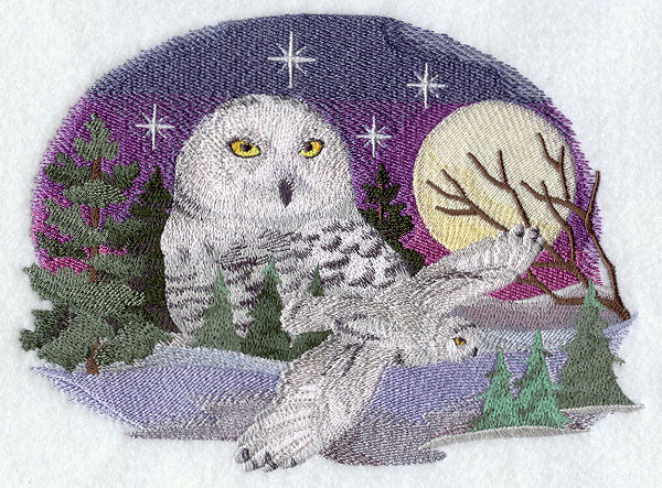 Snowy Owl Scene