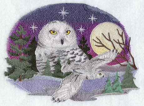 Snowy Owl Scene