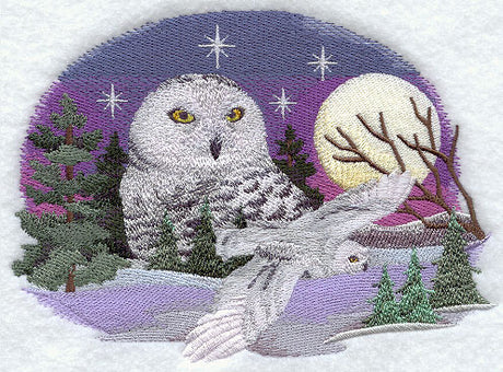 Snowy Owl Scene