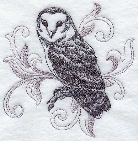 Barn Owl with Baroque Background
