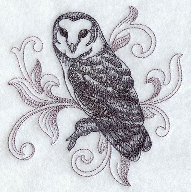 Barn Owl with Baroque Background