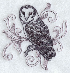 Barn Owl with Baroque Background