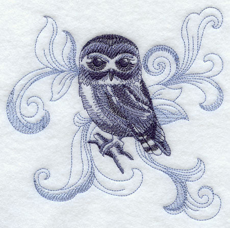 Saw-whet Owl with Baroque Background