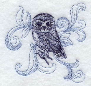 Saw-whet Owl with Baroque Background