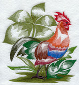 Red Junglefowl