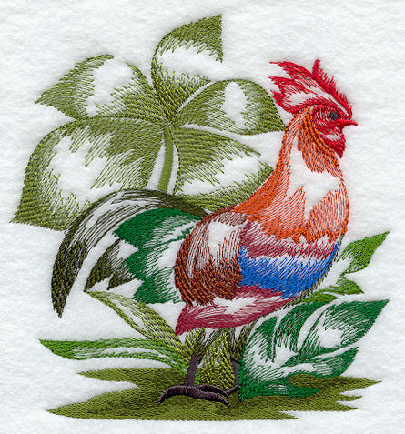 Red Junglefowl